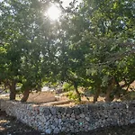 Donnapaola Modern Farm Altamura