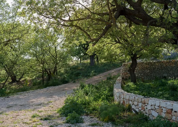 Donnapaola Modern Farm Alloggio per agriturismo Altamura