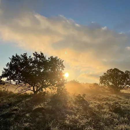 Bauernhof Donnapaola Modern Farm