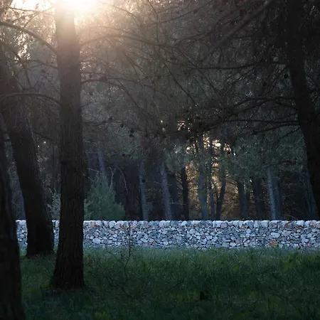 Bauernhof Donnapaola Modern Farm *