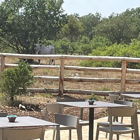 Donnapaola Modern Farm Altamura
